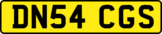 DN54CGS