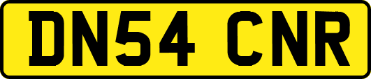DN54CNR
