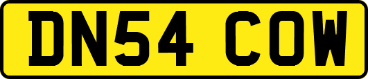 DN54COW