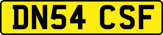 DN54CSF