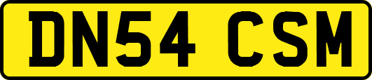 DN54CSM