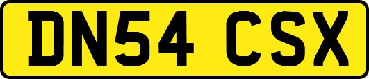 DN54CSX