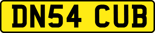DN54CUB