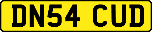 DN54CUD