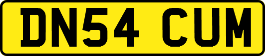 DN54CUM