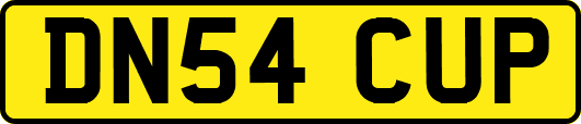 DN54CUP