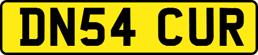 DN54CUR