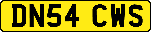 DN54CWS