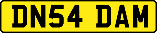 DN54DAM