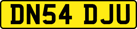 DN54DJU