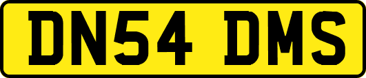 DN54DMS