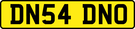 DN54DNO