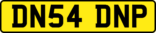 DN54DNP