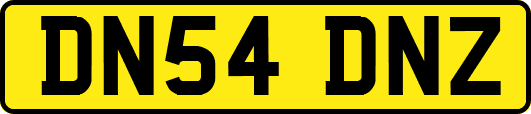 DN54DNZ