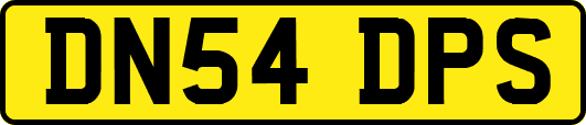 DN54DPS