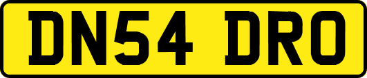 DN54DRO