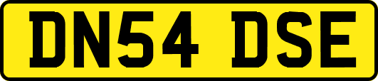 DN54DSE