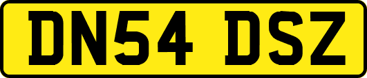 DN54DSZ