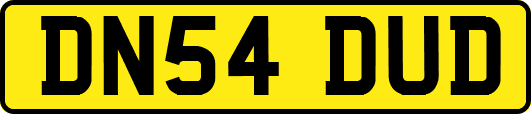 DN54DUD