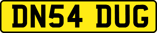 DN54DUG