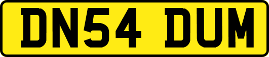 DN54DUM