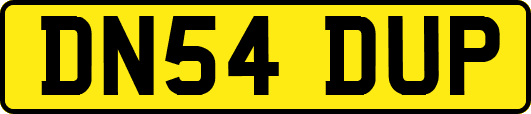 DN54DUP