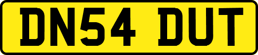 DN54DUT