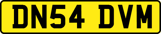 DN54DVM