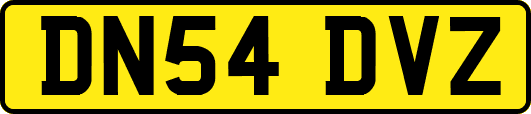 DN54DVZ