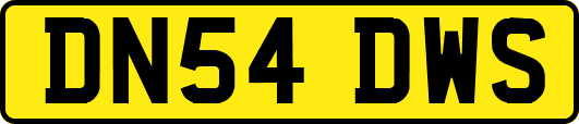 DN54DWS