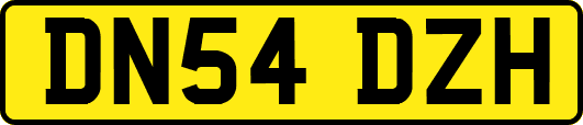 DN54DZH