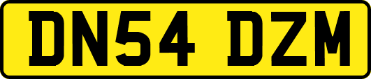DN54DZM