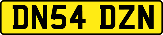DN54DZN