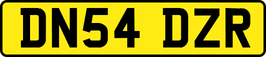 DN54DZR
