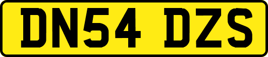 DN54DZS