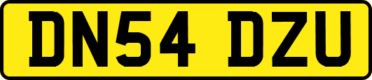 DN54DZU