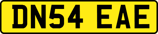 DN54EAE