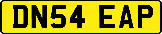 DN54EAP