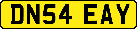 DN54EAY