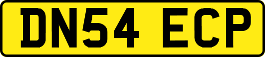DN54ECP