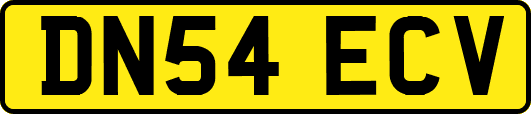 DN54ECV