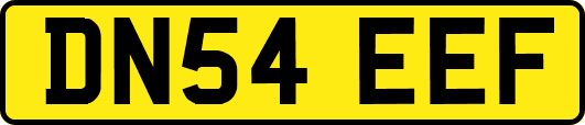 DN54EEF