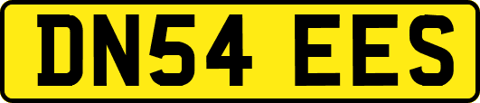 DN54EES