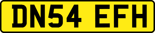 DN54EFH
