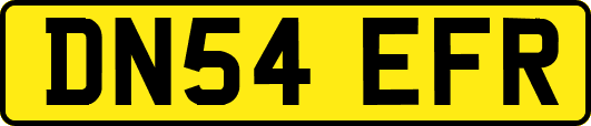 DN54EFR