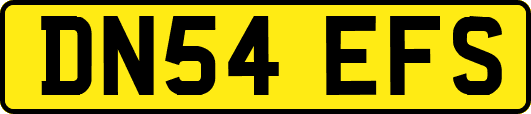 DN54EFS