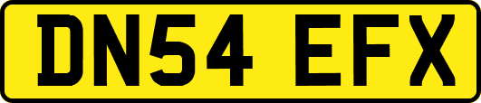 DN54EFX