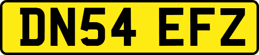 DN54EFZ