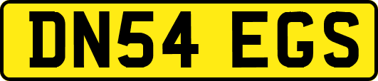 DN54EGS