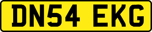 DN54EKG